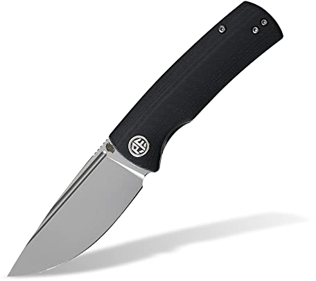 Petrified fish PFP01 mini Beluga Klappmesser, 2.99 14C28N Stahl Klinge G10 Griff EDC Taschenmesser (Black G10)