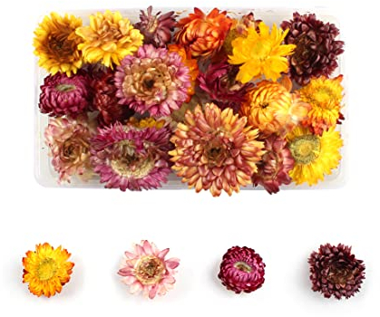 Tomedeks Trockenblumen Deko Trockenblumen Zum Basteln Getrocknete Blumen Schleierkraut Getrocknet Natürliche getrocknete Blumen getrocknete geprägte DIY-konservierte Blumen Blumendekor(A)