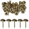 WedDecor Upholstery Tacks Nails Round Head Stud Decorative Thumbtacks Nail Pins For Furniture, Wood Sofa, Chair, Carpet, DIY Projects, 15mm x 9mm, Brass, 50pcs