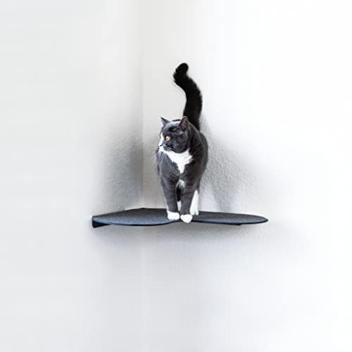 LucyBalu® LOGGIA Katzen Wandliege mit Filzauflage für Ecken | Katzenliege für Wandecke | Katzen Wand Liegeplatz | Katzenmöbel für Katzen Kletterwand | Katzenregal | Katzenbett für Wandecke | Anthrazit