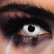 Whiteout Lenses – 3-Monats-Kontaktlinsen ohne Stärke – Weiße Effektlinsen für Halloween, Cosplay, Karneval & Mottopartys – Weiche und komfortable farbige Kontaktlinsen