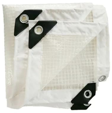 Hyuwdai Bâche imperméable en Tissu translucide, Film PE, for Jardin, Cour, Serre(2MX3M)