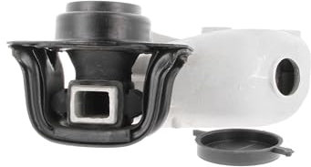 Corteco 80004410 Lagerung, Motor