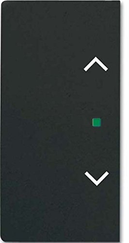 Busch-Jaeger Wippe sw mt 6232-20-885