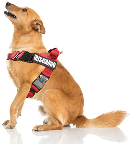 No Pull Dog Harness, dogs harness with Handle Adjustable Padded Harness with Reflective Stitching Ensure Night Visibility Easy Control for Outdoor Training Walking (M - Red)