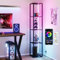 Jehiatek RGB Floor Lamp with Shelves, Tall Standing Lamp for Living Room, LED Display Shelf for Collectibles, Modern Floor Lamp with Remote and App Control, 63.8 Inches, Black