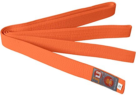 Ju-Sports Budogürtel - orange, Baumwolle I Kampfsport Gürtel Für Budo-Sportarten, Judo, Karate, Kickboxen uvm. I Ca. 4 cm breiter Martial Arts Gürtel I 220 cm