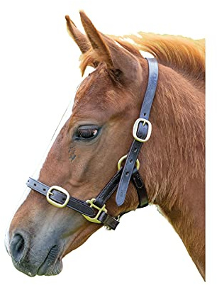 Shires Blenheim Adjustable Leather Headcollar - Havana Baby 2
