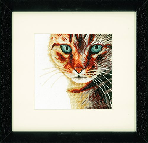 Lanarte PN-0021202 Cat Close-Up, Pack of 1