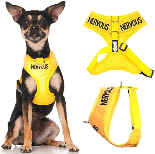 Dexil NERVOUS (Give Me Space) Yellow Colour Coded Non-Pull Front and Back D Ring Padded and Waterproof Vest Dog Harness PREVENTS Accidents By Warning Others Of Your Dog In Advance (XS)