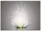 ARTLAND Wanddeko Leinwand Bilder Wandbild 80x60 cm Blumen Lotusblume Blüte Natur Seerose Abstrakt Kunst S7FD