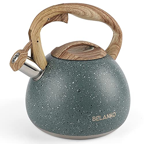 Belancko - Bollitore da tè da 3 litri, in acciaio INOX di grado alimentare, con manico in legno, per tè, caffè, acqua, latte, colore: nero e verde
