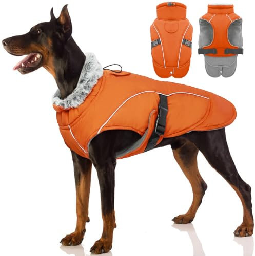 Wasserdichter Hundemantel, Winter Warme Hundejacke Winddicht Hundepullover Outdoor Hundemantel Bekleidung mit Sicheren Reflexstreifen(Orange, L)