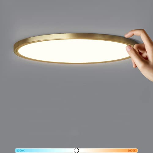 LED Deckenleuchte Flach, 2.5cm Ultra Dünn Deckenlampe Messing, 24W 6000K LED Panel Dimmbar 3000K~6000K Rund Deckenbeleuchtung Flimmerfrei für Schlafzimmer/Küche/Flur/Bad-30cm