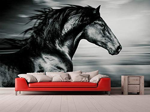 Oedim Fotomural Vinilo para Pared Caballo Negro | Vinilo Económico | Fotomural Vinilo Decorativo | 150 x 100 cm | Decoración comedores, Salones, Habitaciones