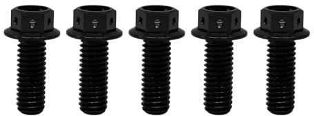 RISON-Titanium Bulloni in Titanio con Flangia M6x1.0x10mm, Vite Testa Esagonale Flangia Forato, Viti Esagonali Flangiate in Titanio GR5 Vite di Fissaggio, Confezione da 5
