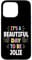 JORDAN Personalized Name Beautiful Day JORDAN Case for iPhone 15 Pro Max