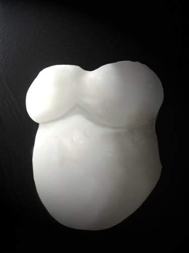 Baby Bauch Gips Abdruck Set PUR - Babybauch Gipsbauch Gipsbinden Gipsabdruck Schwangerschaft Schwangerschaftsbauch Bauchmaske Bauchabdruck