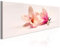decomonkey Bilder Blumen 135x45 cm 1 Teilig Leinwandbilder Bild auf Leinwand Vlies Wandbild Kunstdruck Wanddeko Wand Wohnzimmer Wanddekoration Deko Magnolien