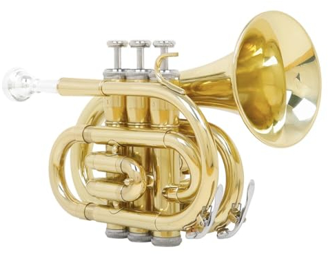 Taschentrompete Messing Gold Lack Mini Trompete mit Tasche Gurt Weiße Handschuhe Reinigungsset für Anfänger Prüfung Performance Instrument