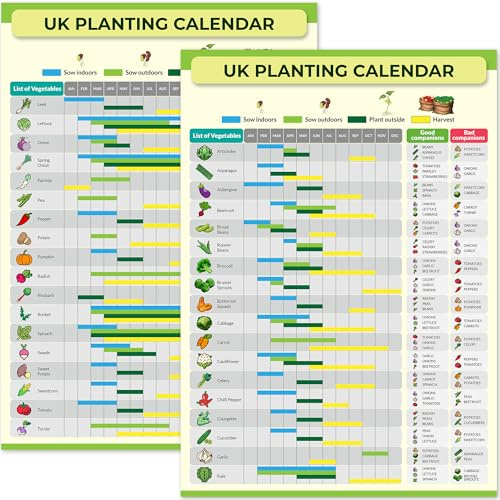Garten- & Schrebergarten Pflanzkalender - Wiederverwendbarer Ganzjahresführer für Saatgut Aussaat & Ernte - Wasserdichtes Poster für Gewächshaus oder Schuppen - Perfektes Geschenk für Gärtner