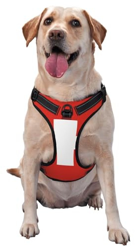 Hundegeschirr mit Schweiz-Flagge, kein Ziehen, verstellbar, reflektierend, Oxford, einfache Kontrolle, Größe M und L