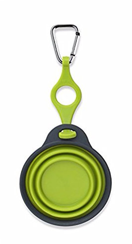Dexas Popware Gobelet de voyage pour animaux domestiques avec porte-bouteille et mousqueton Gris/vert