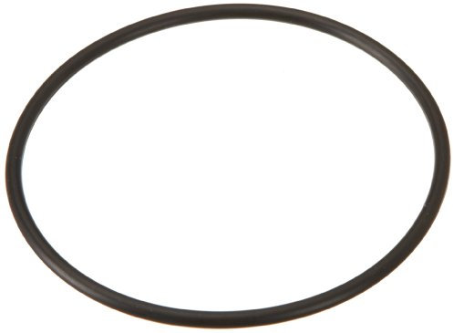 Hayward GLX-DIY-ORING O-Ring für Schwimm Salz Chlorierungssystem