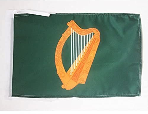 AZ FLAG - Flagge Leinster - 45x30 cm Mit Kordel - Leinster Fahne 30 x 45 Cm - Flaggen