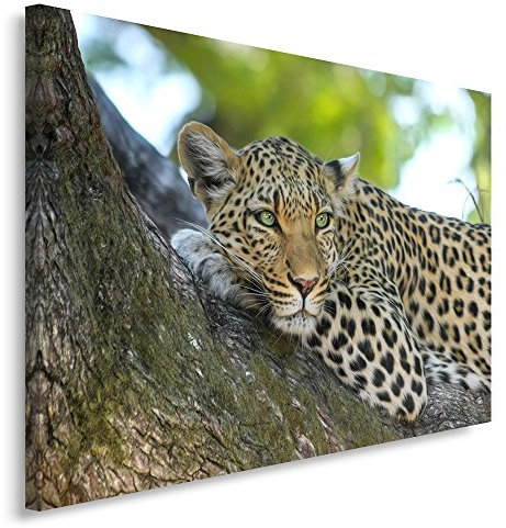 Feeby. Wandbild - 1 Teilig - 50x70 cm, Leinwand Bild Leinwandbilder Bilder Wandbilder Kunstdruck, LEOPARD, TIER, AFRIKA, BRAUN