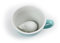 Ceature Cups Igel-Keramiktasse (325 Milliliter, Meeresgrün) | Auf der Innenseite versteckte Tiermotive | Weihnachts- und Geburtstagsgeschenk für Kaffee- und Teeliebhaber