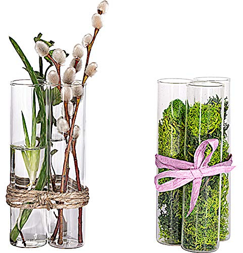 Tuuters Vaseneinsatz 6 Stück, Reagenzglas Vase, Ideal für Stecklinge, Mini Vasen Set (70 x Ø30mm)