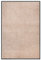 vidaXL Fußmatte Schmutzfangmatte Schmutzmatte Türmatte Sauberlaufmatte Fußabtreter Türvorleger Schmutzfangläufer Teppich Matte Beige 80x120cm