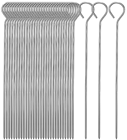 ASYKNM Brochetas Barbacoa de Acero Inoxidable 24.5cm - Set de 20 Unidades para Malvaviscos, Aperitivos, Verduras, Frutas y Pescado. Perfectas para Hogueras y BBQ