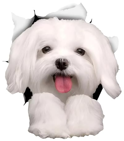 Autoaufkleber Malteser Aufkleber 15cm(5.9 Inch) Malteser Reflektierende Aufkleber 3D Haustier Hund Lustig Autoaufkleber Maltese Car Sticker Lustig Dekor
