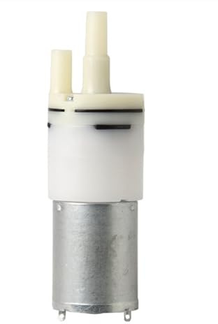 TERNCOEW 370 Miniatur-Luftpumpen, 12 V Instrumente, Miniatur-aufblasbarer Motor für Dampfgarer, Kessel, Teichpumpen mit Filter