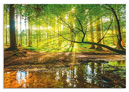 ARTland Spritzschutz Küchenrückwand aus Alu für Küche Herd Spüle 80x55 cm (BxH) mit Motiv Natur Landschaft Wald Bäume Sonne Bach Landhaus Grün T9IO