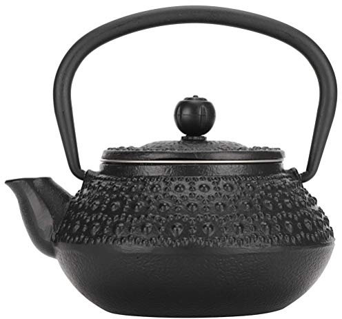 Japanese Style Cast Iron Tea Pot Type Teapot Kettle Boiler with Strainer Boiling Water Tea Pot Home Kitchen Office Teaware