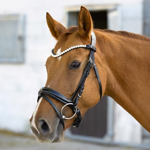 Heinick Trense Selection Lack Schnallen Schwarz Schnellwechselsystem ~ Warmblut ~