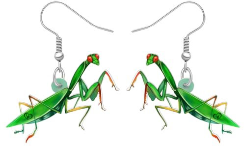 NEWEI Acryl Insekt Bug Ohrringe Baumeln Gottesanbeterin Schmuck Für Frauen Mädchen Tierliebhaber Funky Geschenke (Gottesanbeterin B)
