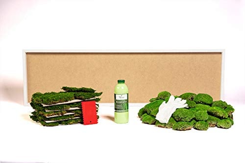DIY Moosbild selber machen, Wandbilder selber kleben, Moosbilder selbst gestalten Do it yourself Set Moos kleben Wanddeko selbst herstellen Deko Wandbild Komplett-Set Bilderrahmen (weiß, 140 x 40)