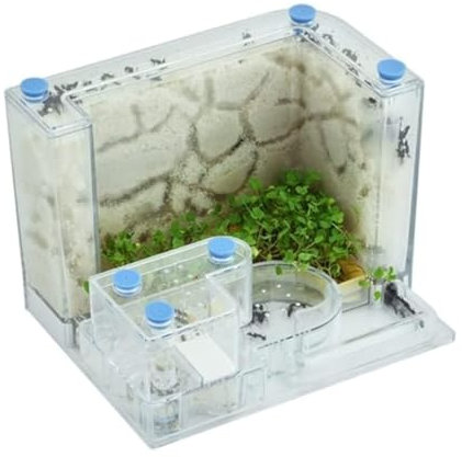 Ameisenfarm Formicarium Ameisenburg Aus Acryl Mit Aktivitätsbereich, Transparente Ameisenfarm, Interaktives Wissenschafts-Puzzlespiel, Ameisennestfarm Ameisenfarm für Draußen