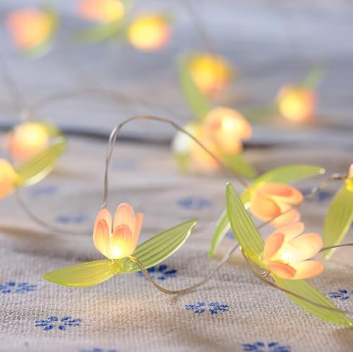 Lights4fun Guirlande Lumineuse avec Fleurs Roses et 20 LED Blanc Chaud à Piles avec Minuterie Résistante aux Intempéries Décoration pour l’Intérieur et l’Extérieur
