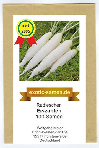 Radieschen - Radies - Eiszapfen (100 Samen)