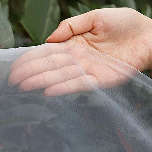 QLING Insektennetz für den Garten, ultradünn, für Gemüse, Obst, Pflanzen, Gewächshaus (6 x 2,5 m)
