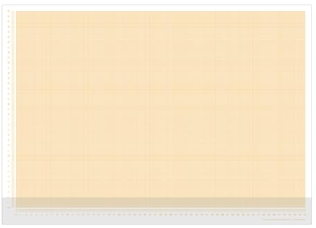 PuK Schreibtischunterlage Millimeterpapier | DIN A2 | seitlich abgedrucktes Lineal | 25 Blatt zum Abreißen | mathematisches Papier | zum Beschreiben und Skizzieren (DIN A2 mit Schutzleiste)