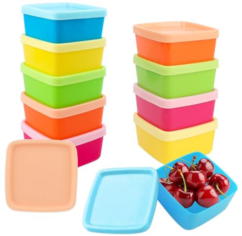 TAIXING 10er-Set Kleine Dosen mit Deckel Plastik Quadratisch, Kleine Gefrierdosen 5 Farben, Mini Dosen mit Deckel, Gefrierdosen Klein für zur Aufbewahrung von Snack Obst