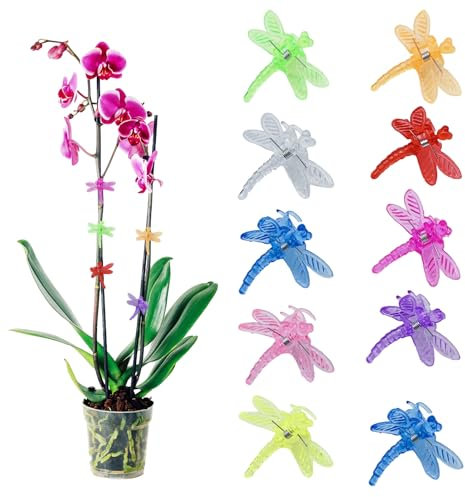 Yarteim 40 Stück Pflanzenclips Orchideen Klammern,Bunt Libellen-Form Pflanzenklammern, Garten Deko Pflanzen Clips für Tomaten, Rosen, Orchideen, Pflanzen Klammern für Unterstützen und Halten Pflanze