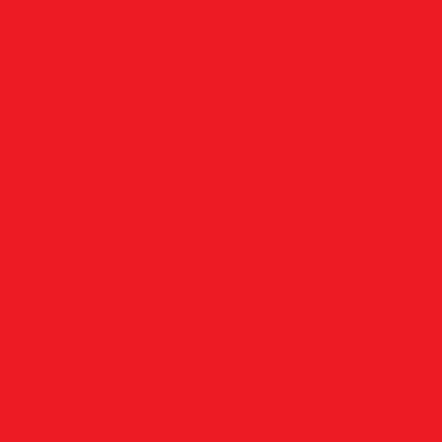 100 x Sheets 20 x 30Acid Free Coloured Tissue Paper- Scarlet Red
