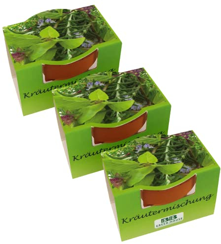 Bull & Bear 3er Set Minipflanzset Kräutermix